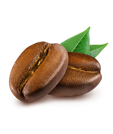 Coffee seed Extract