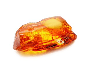 Amber | Discover the Science of Gemstones | Lionesse