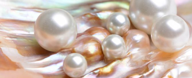 White Pearls for the White Pearl Collection